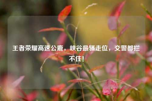 王者荣耀高速公鹿，峡谷最骚走位，交警都拦不住！
