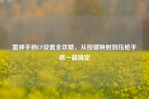 雷神手柄CF设置全攻略，从按键映射到压枪手感一篇搞定