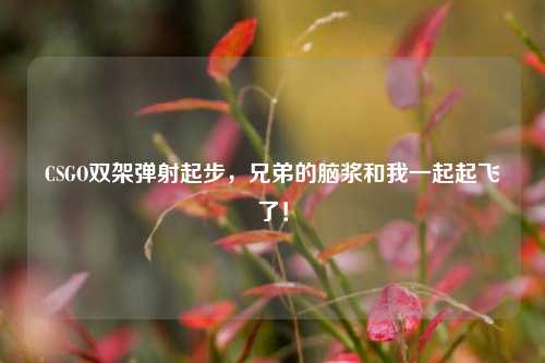 CSGO双架弹射起步，兄弟的脑浆和我一起起飞了！