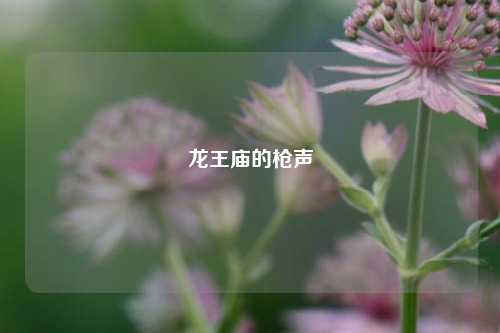 龙王庙的枪声