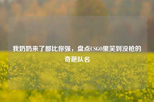 我奶奶来了都比你强，盘点CSGO里笑到没枪的奇葩队名