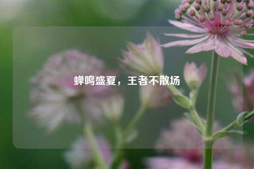 蝉鸣盛夏，王者不散场