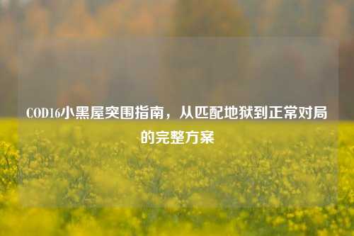 COD16小黑屋突围指南,从匹配地狱到正常对局的完整方案