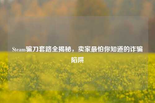 Steam骗刀套路全揭秘,卖家最怕你知道的诈骗陷阱