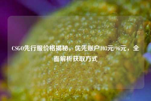 CSGO先行服价格揭秘，优先账户103元/96元，全面解析获取方式