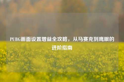 PUBG画面设置增益全攻略，从马赛克到鹰眼的进阶指南