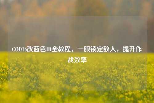 COD16改蓝色ID全教程，一眼锁定敌人，提升作战效率