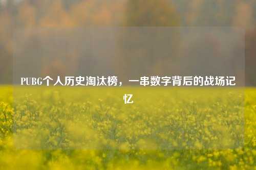 PUBG个人历史淘汰榜，一串数字背后的战场记忆