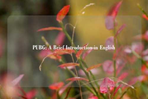 PUBG: A Brief Introduction in English