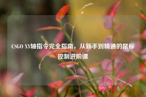 CSGO XY轴指令完全指南，从新手到精通的鼠标控制进阶课