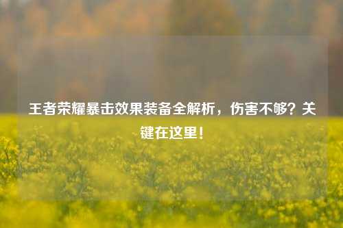 王者荣耀暴击效果装备全解析，伤害不够？关键在这里！