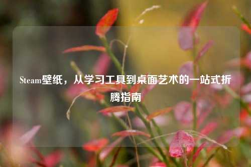Steam壁纸，从学习工具到桌面艺术的一站式折腾指南
