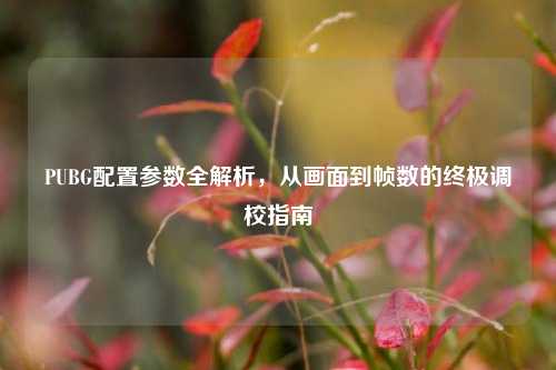 PUBG配置参数全解析，从画面到帧数的终极调校指南