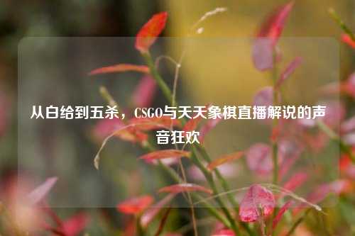 从白给到五杀，CSGO与天天象棋直播解说的声音狂欢