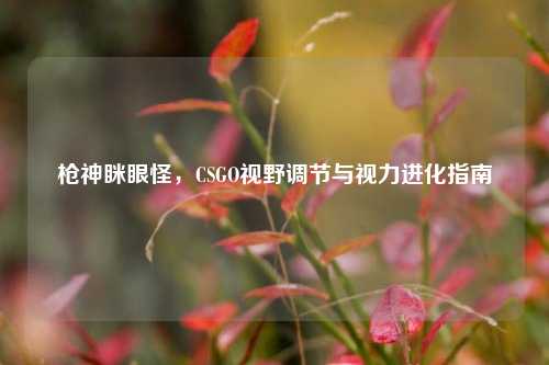 枪神眯眼怪，CSGO视野调节与视力进化指南