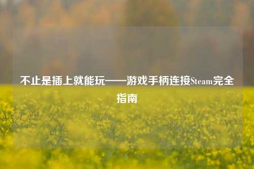 不止是插上就能玩——游戏手柄连接Steam完全指南
