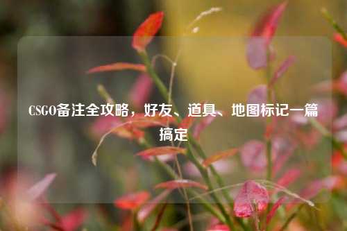 CSGO备注全攻略，好友、道具、地图标记一篇搞定
