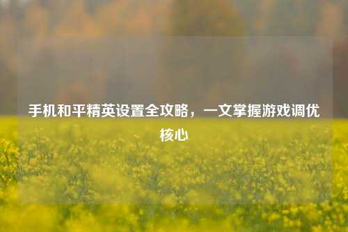手机和平精英设置全攻略，一文掌握游戏调优核心