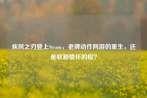疾风之刃登上Steam，老牌动作网游的重生，还是收割情怀的税？