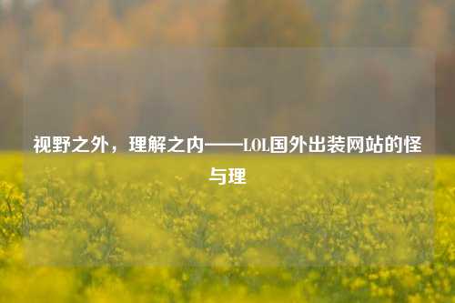 视野之外，理解之内——LOL国外出装网站的怪与理