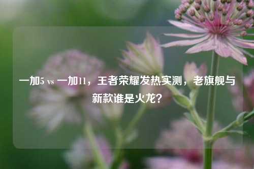 一加5 vs 一加11，王者荣耀发热实测，老旗舰与新款谁是火龙？