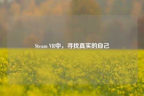 Steam VR中，寻找真实的自己