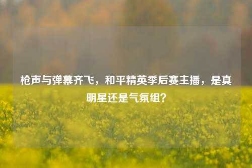 枪声与弹幕齐飞，和平精英季后赛主播，是真明星还是气氛组？