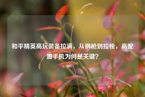 和平精英高玩装备拉满，从钢枪到拉栓，高配置手机为何是关键？