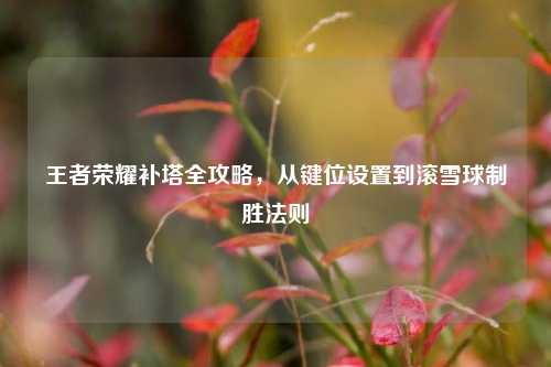 王者荣耀补塔全攻略，从键位设置到滚雪球制胜法则