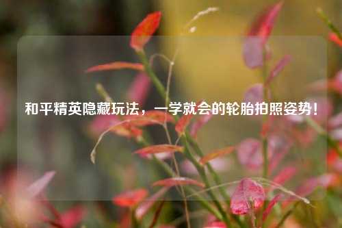 和平精英隐藏玩法，一学就会的轮胎拍照姿势！