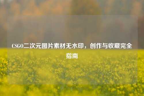 CSGO二次元图片素材无水印，创作与收藏完全指南