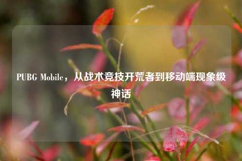 PUBG Mobile,从战术竞技开荒者到移动端现象级神话