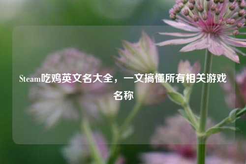 Steam吃鸡英文名大全,一文搞懂所有相关游戏名称