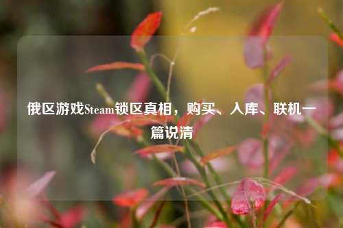 俄区游戏Steam锁区真相,购买、入库、联机一篇说清