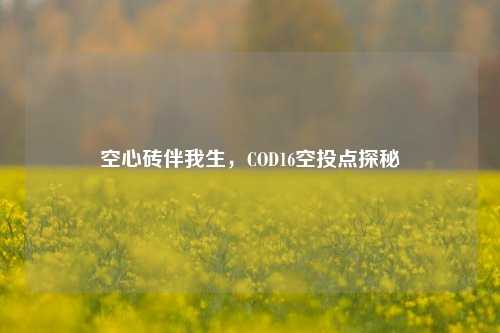 空心砖伴我生,COD16空投点探秘