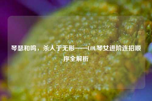 琴瑟和鸣，杀人于无形——LOL琴女进阶连招顺序全解析