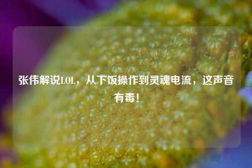 张伟解说LOL,从下饭操作到灵魂电流,这声音有毒!