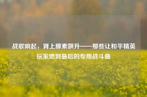 战歌响起,肾上腺素飙升——那些让和平精英玩家燃到最后的专用战斗曲