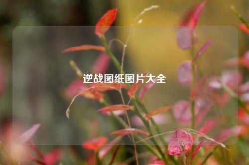 逆战图纸图片大全