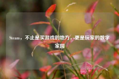 Steam，不止是买游戏的地方，更是玩家的数字家园