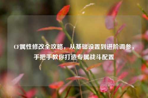 CF属性修改全攻略,从基础设置到进阶调参,手把手教你打造专属战斗配置