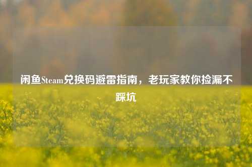 闲鱼Steam兑换码避雷指南,老玩家教你捡漏不踩坑