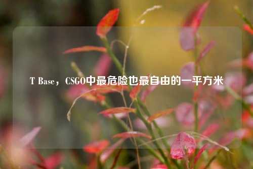 T Base,CSGO中最危险也最自由的一平方米