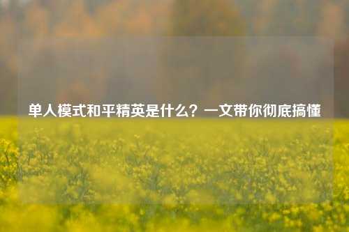 单人模式和平精英是什么？一文带你彻底搞懂