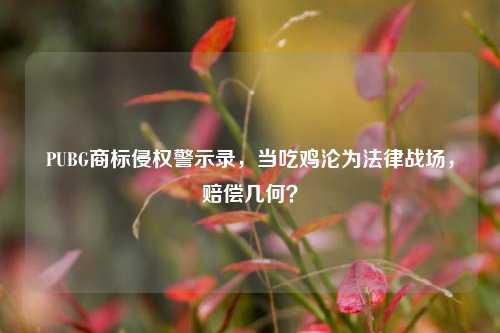 PUBG商标侵权警示录,当吃鸡沦为法律战场,赔偿几何?