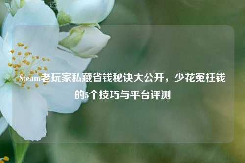 Steam老玩家私藏省钱秘诀大公开,少花冤枉钱的5个技巧与平台评测