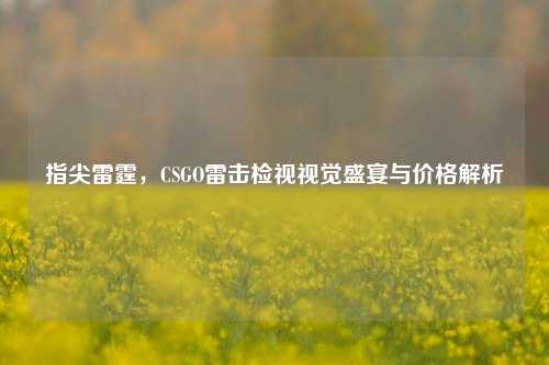 指尖雷霆,CSGO雷击检视视觉盛宴与价格解析