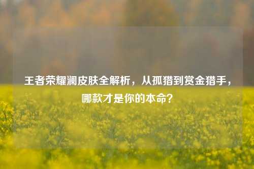 王者荣耀澜皮肤全解析，从孤猎到赏金猎手，哪款才是你的本命？