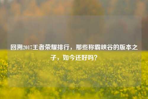 回溯2017王者荣耀排行,那些称霸峡谷的版本之子,如今还好吗?