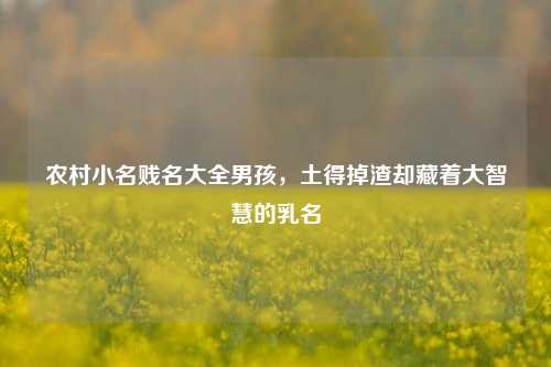 农村小名贱名大全男孩,土得掉渣却藏着大智慧的乳名